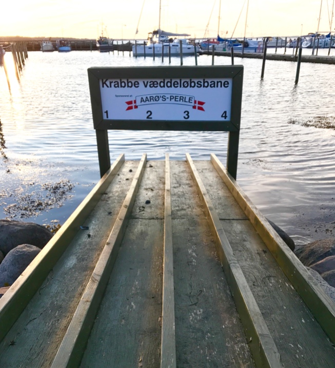 Krabbenwettlaufbahn auf Årø